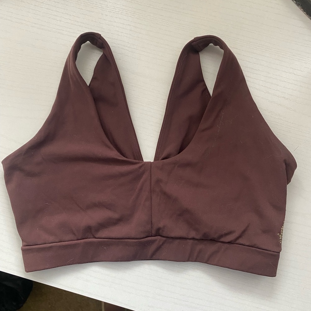 Whitney Simmons x gymshark sports bra from original collection (cherry brown)